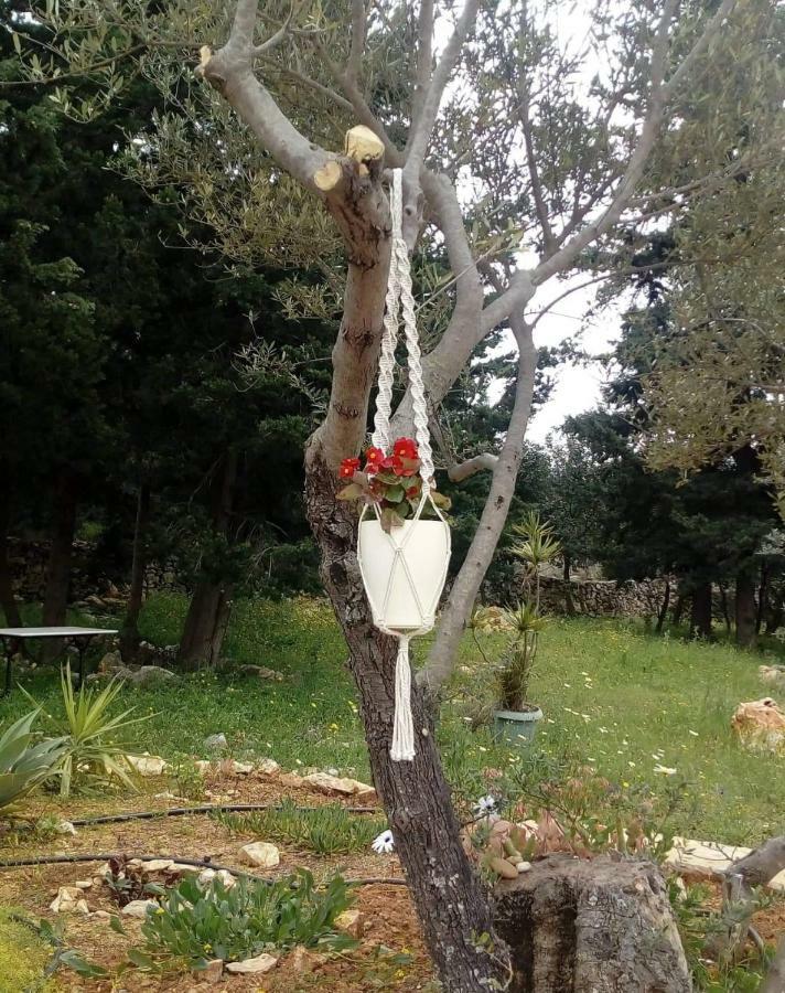 La Villa "Casa Di Lydia" Γαβαλοχώρι Εξωτερικό φωτογραφία